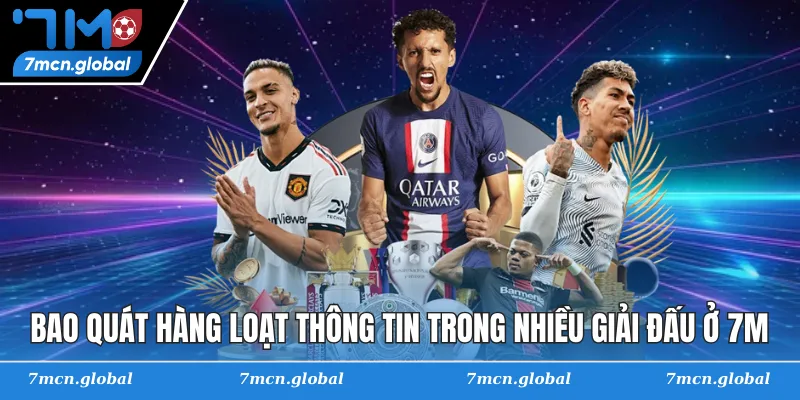 Bao quát hàng loạt thông tin trong nhiều giải đấu