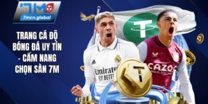 Trang cá độ bóng đá uy tín